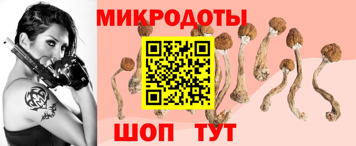 Псилоцибиновые грибы ЛСД Туапсе
