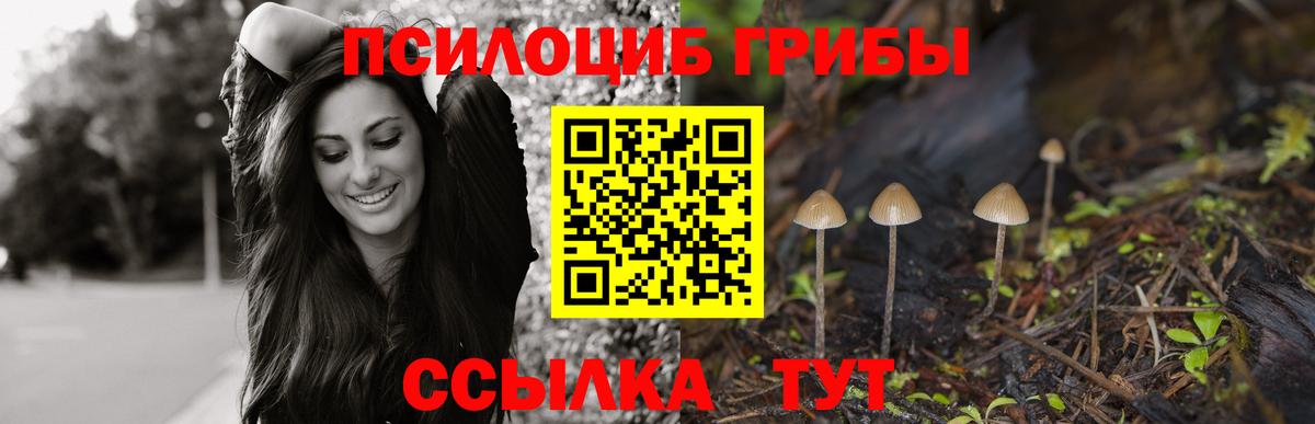 Туапсе  Галлюциногенные грибы мухоморы  Вход с VPN 